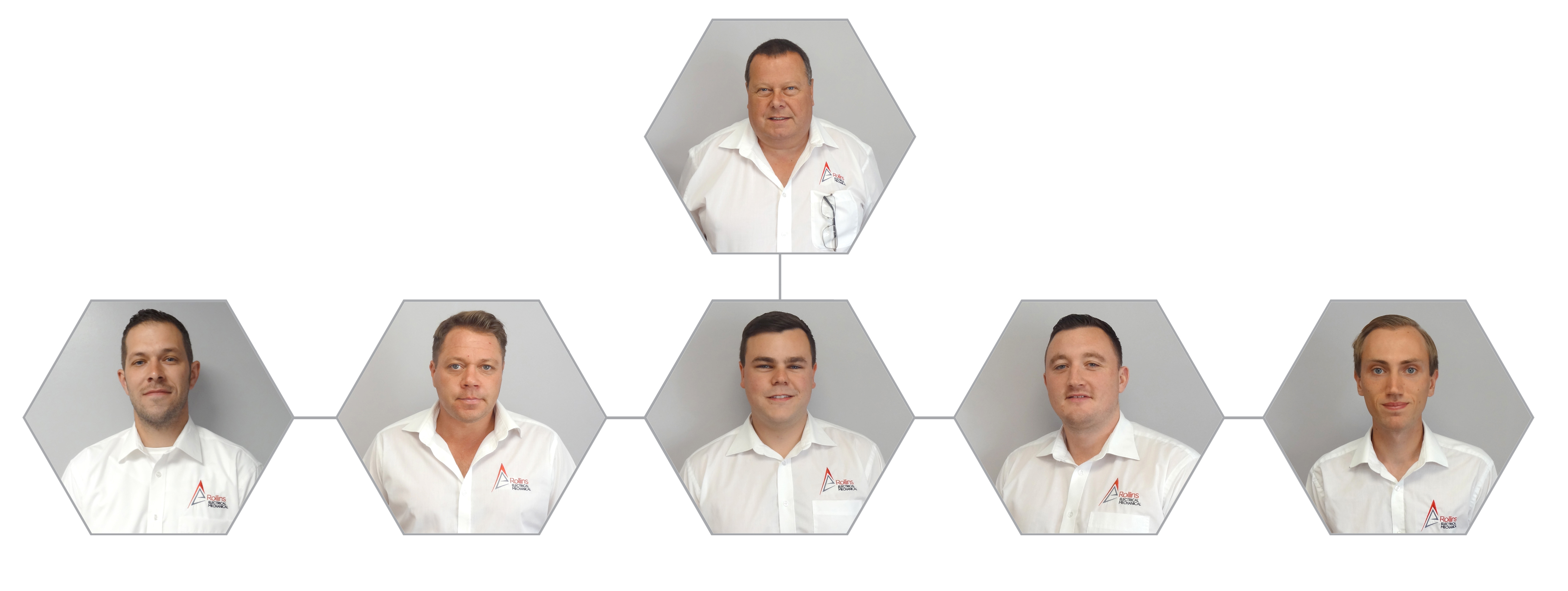 Meet the Team